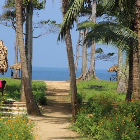 Pearl Park Beach Resort-Neil Island Lakshmanpur Exterior foto