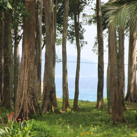 Pearl Park Beach Resort-Neil Island Lakshmanpur Exterior foto