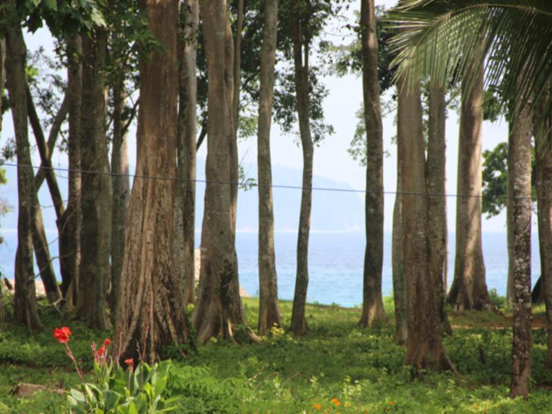 Pearl Park Beach Resort-Neil Island Lakshmanpur Exterior foto